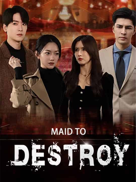 image-Maid to Destroy