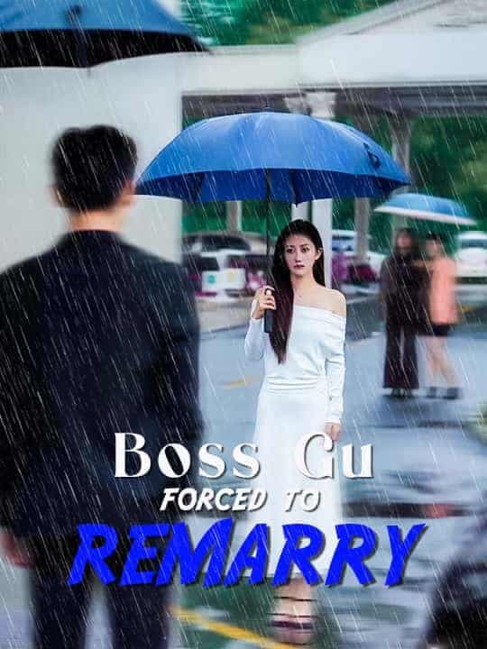 image-Boss Gu Forced to Remarry