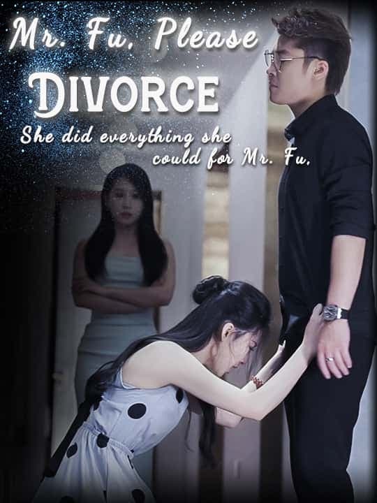 image-Mr. Fu, Please Divorce